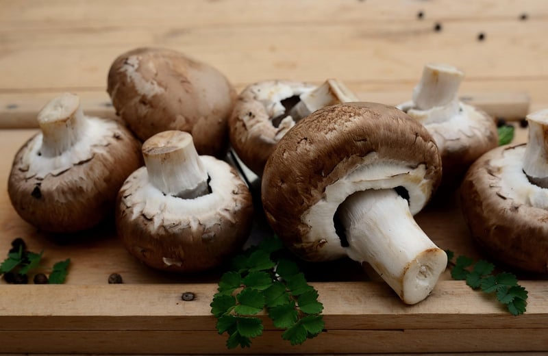 Ingredient Advice